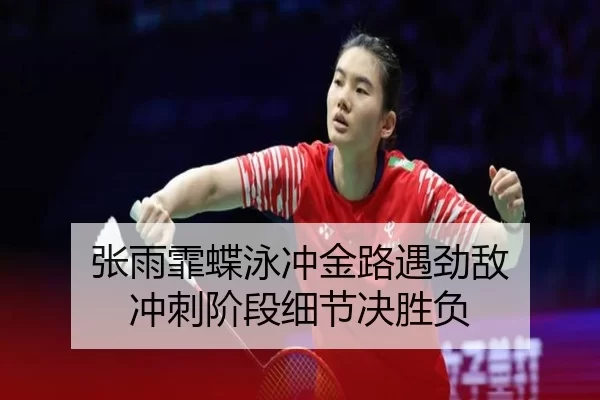 zhang-yu-fei-die-yong-chong-jin-lu-yu-jing-di-chong-ci-jie-duan-xi-jie-jue-sheng-fu-3-323.jpg